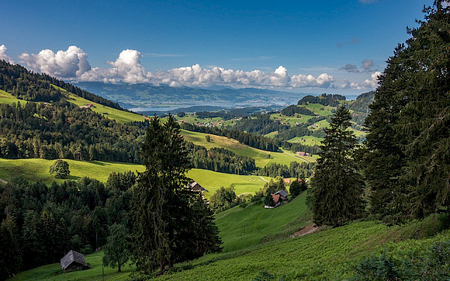 Generalversammlung Zentralschweiz Oktober 21